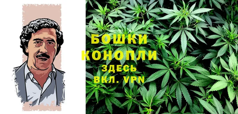 Бошки марихуана SATIVA & INDICA  Тулун 